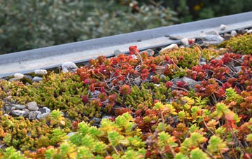 the cost of Purbrook green roof installation