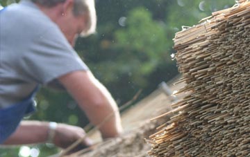 professional Purbrook thatchers